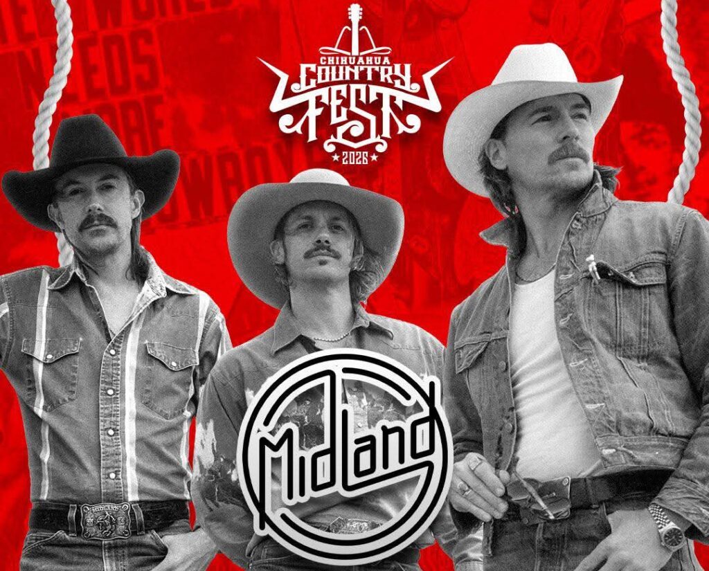 WhatsApp Image 2026-04-08 at 11.13.16 PM